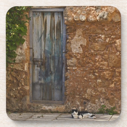 Alte Tür und stillstehende Katze Getränkeuntersetzer (Vorderseite)
