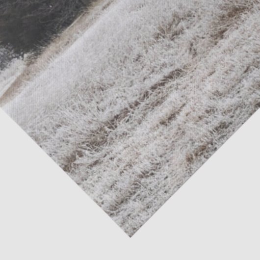 Alte, verlassene Häuser im Toten Winter Seidenpapier (Detail)