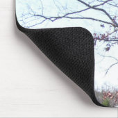 Alte verwitterte Eiche im Winter und alter Mousepad (Ecke)