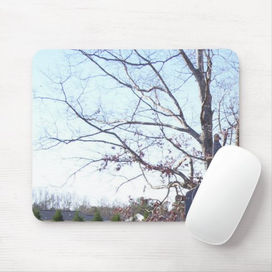 Alte verwitterte Eiche im Winter und alter Mousepad (Mit Mouse)