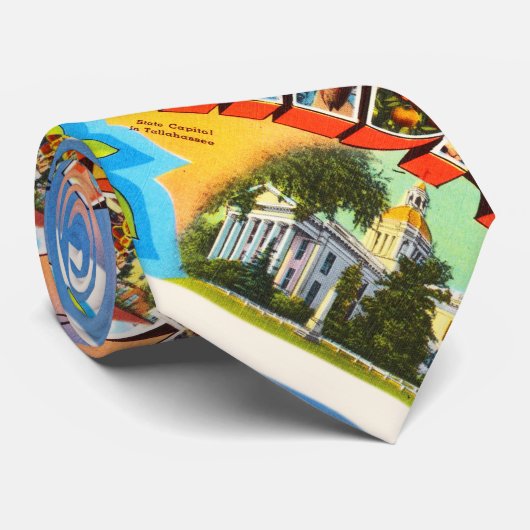 Alte Vintage Reise-Andenken Staats-Florida Krawatte (Gerollt)