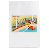 Alte Vintage Reise-Postkarte Alexandrias Virginia Mittlere Geschenktüte (Vorderseite)