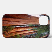 Alte, wachsende Sequoia-Redwood-Bäume Case-Mate iPhone Hülle (Rückseite (Horizontal))