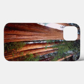 Alte, wachsende Sequoia-Redwood-Bäume Case-Mate iPhone Hülle (Rückseite (Horizontal))