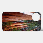 Alte, wachsende Sequoia-Redwood-Bäume Case-Mate iPhone Hülle (Rückseite (Horizontal))