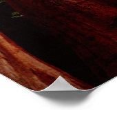 Alte, wachsende Sequoia-Redwood-Bäume Poster (Ecke)