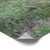 Alte Wagenräder II Poster (Ecke)