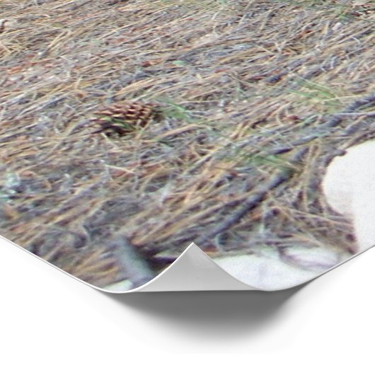 Alte Wagenräder Poster (Ecke)