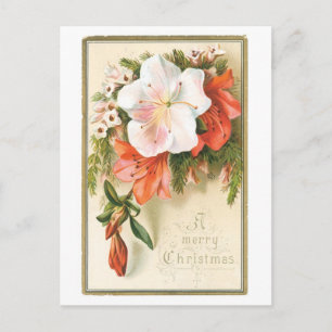 Alte Weihnachten, Blume Feiertagspostkarte