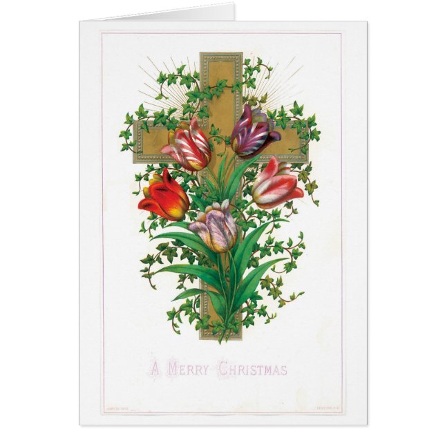 Alte Weihnachten, Tulip (Vorne)