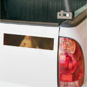 Alte Weihnachten (Weihnachtsmann) Autoaufkleber (Auf Lkw)