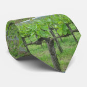 Alte Weinrebe Krawatte (Gerollt)