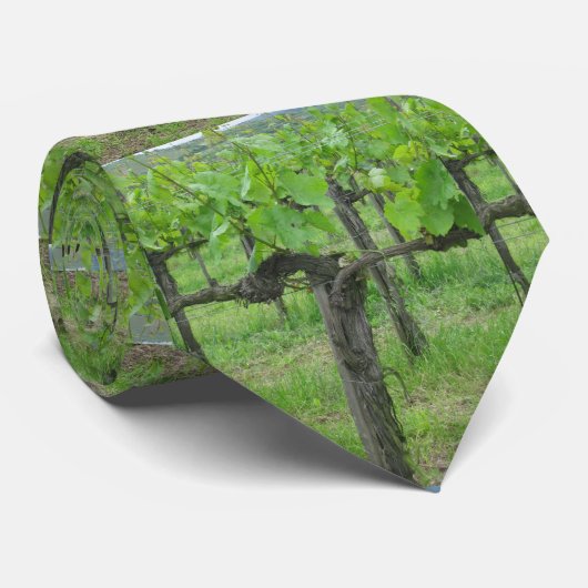 Alte Weinrebe Krawatte (Gerollt)