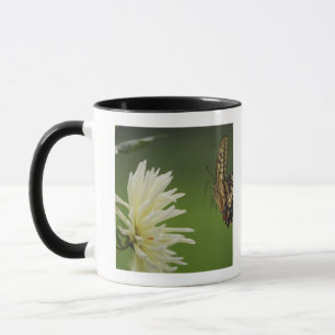 Alte WeltFrack-Fliegen Tasse