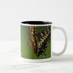 Alte WeltFrack-Fliegen Zweifarbige Tasse