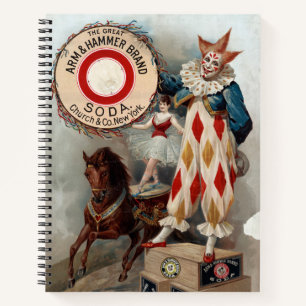 Alte Werbung für Arm & Hammer Soda Notizblock