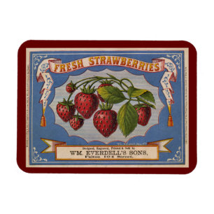 Alte Werbung für frische Erdbeeren um 1868 Postc Magnet