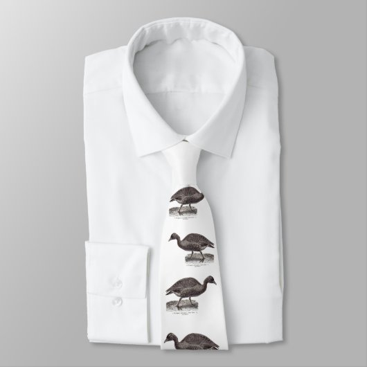 Alte Wildgans-Wildgans Krawatte (Gebunden)