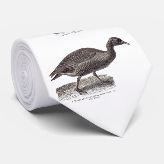 Alte Wildgans-Wildgans Krawatte (Gerollt)