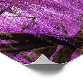 Alte Wisteria Lila Lavender Blume Plakat (Ecke)