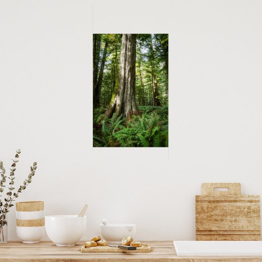 Alte Zeit Poster (Küche)