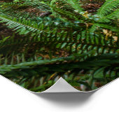 Alte Zeit Poster (Ecke)