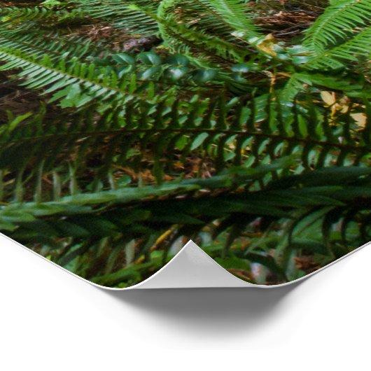 Alte Zeit Poster (Ecke)