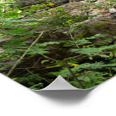 Alte zerstörte Brücke im Wald Poster (Ecke)