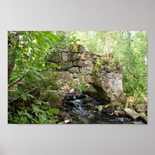 Alte zerstörte Brücke im Wald Poster (Vorne)