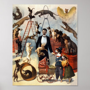 Alte Zirkusvorstellung mit dressierten Hunden Tric Poster
