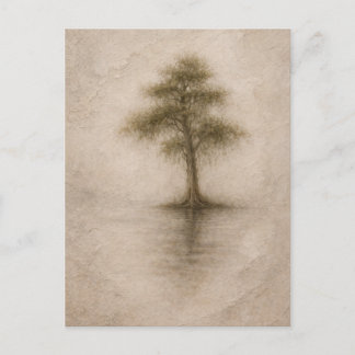 Alte Zypresse | Landschaftskunst | Postkarte