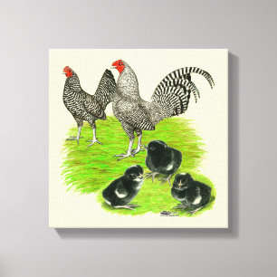 Altenglische Barred Bantam Familie Leinwanddruck
