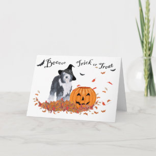 Altenglischer Schäferhund Halloween Karte