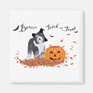 Altenglischer Schäferhund Halloween Magnet