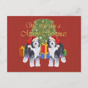 Altenglischer Schäferhund Weihnachten