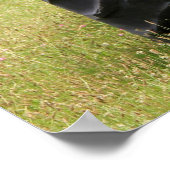 Alter 4 Hecktraktor in einem Feld Poster (Ecke)