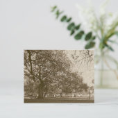 Alter Akku Postkarte (Stehend Vorderseite)