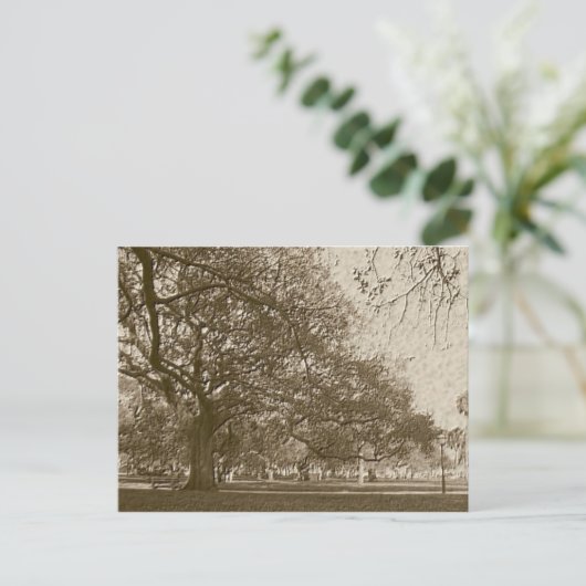 Alter Akku Postkarte (Stehend Vorderseite)