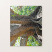 Alter antiker 200 Jahre alter Baum - Bangalore Gar Puzzle (Vertikal)