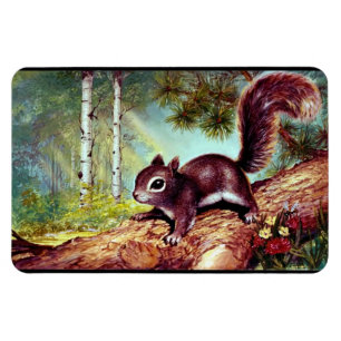 Alter antiker Vintager Eichhörnchen-Bild-Magnet Magnet