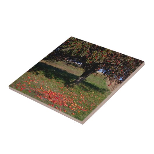 Alter Apfelbaum Fliese (Seite)
