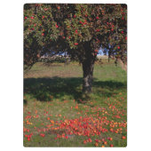 Alter Apfelbaum Klemmbrett (Rückseite)