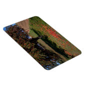 Alter Apfelbaum Magnet (Rechte Seite)