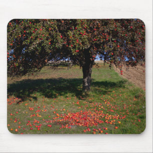 Alter Apfelbaum Mousepad