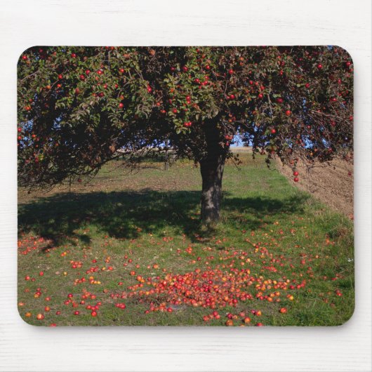 Alter Apfelbaum Mousepad (Vorne)