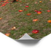 Alter Apfelbaum Poster (Ecke)
