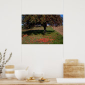 Alter Apfelbaum Poster (Küche)