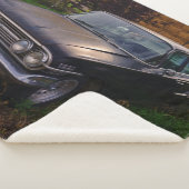 ALTER AUTO SHERPADECKE (3/4)