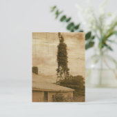 Alter Bauernhof 2 Postkarte (Stehend Vorderseite)