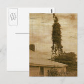 Alter Bauernhof 2 Postkarte (Vorne/Hinten)